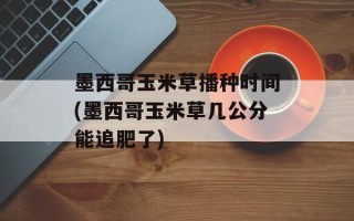 墨西哥玉米草播种时间(墨西哥玉米草几公分能追肥了)