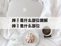 蹄髈是什么部位图解 蹄髈是什么部位