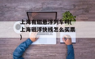 上海有磁悬浮列车吗(上海磁浮快线怎么买票)