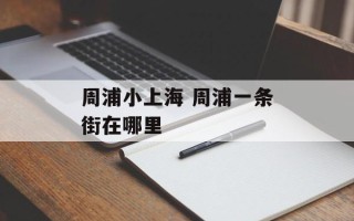 周浦小上海 周浦一条街在哪里