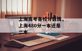 上海高考各校分数线，上海480分一本还是二本