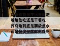 乌龟食物是在水里面泡着给他吃还是干着吃 养乌龟到底是要放点水还是在沙子里面干养啊