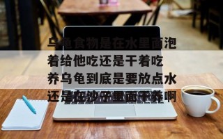 乌龟食物是在水里面泡着给他吃还是干着吃 养乌龟到底是要放点水还是在沙子里面干养啊