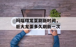 玛瑙翔龙蛋刷新时间，巨大龙蛋多久刷新一次