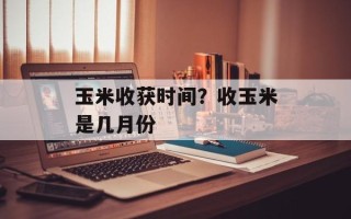 玉米收获时间？收玉米是几月份