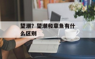 望潮？望潮和章鱼有什么区别