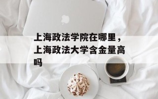 上海政法学院在哪里，上海政法大学含金量高吗