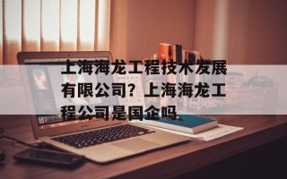 上海海龙工程技术发展有限公司？上海海龙工程公司是国企吗