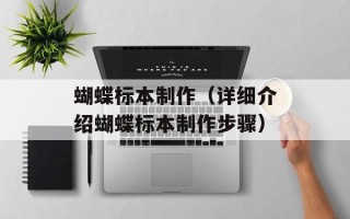 蝴蝶标本制作（详细介绍蝴蝶标本制作步骤）
