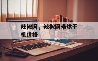 辣椒网，辣椒网带烘干机价格