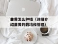 韭黄怎么种植（详细介绍韭黄的栽培和管理）