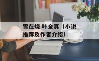 雪在烧 叶全真（小说推荐及作者介绍）