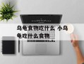 乌龟食物吃什么 小乌龟吃什么食物