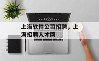 上海软件公司招聘，上海招聘人才网