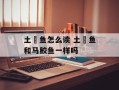 土魠鱼怎么读 土魠鱼和马鲛鱼一样吗