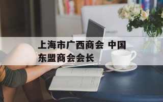 上海市广西商会 中国东盟商会会长