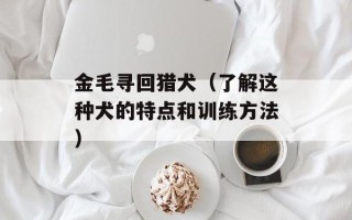 金毛寻回猎犬（了解这种犬的特点和训练方法）