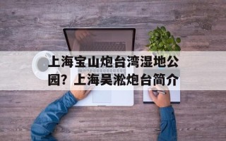 上海宝山炮台湾湿地公园？上海吴淞炮台简介