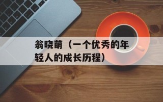 翁晓萌（一个优秀的年轻人的成长历程）