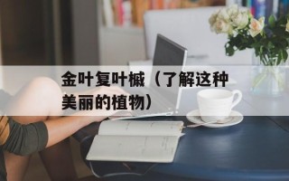 金叶复叶槭（了解这种美丽的植物）