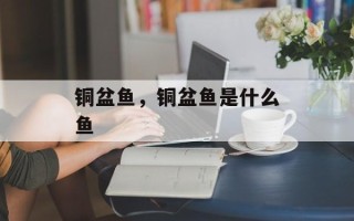 铜盆鱼，铜盆鱼是什么鱼