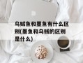乌贼鱼和墨鱼有什么区别(墨鱼和乌贼的区别是什么)