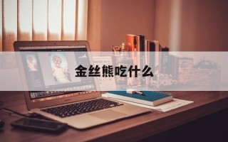 金丝熊吃什么