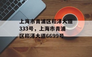 上海市青浦区崧泽大道333号，上海市青浦区崧泽大道6699号