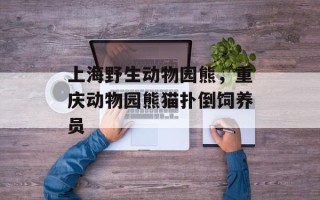 上海野生动物园熊，重庆动物园熊猫扑倒饲养员