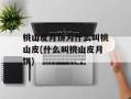 桃山皮月饼为什么叫桃山皮(什么叫桃山皮月饼)