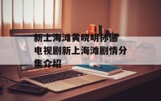 新上海滩黄晓明孙俪 电视剧新上海滩剧情分集介绍