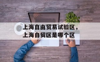 上海自由贸易试验区，上海自贸区是哪个区