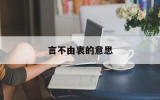 言不由衷的意思