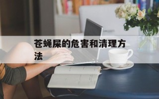 苍蝇屎的危害和清理方法
