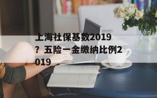 上海社保基数2019？五险一金缴纳比例2019