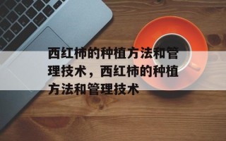 西红柿的种植方法和管理技术，西红柿的种植方法和管理技术