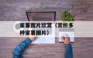 蜜薯图片欣赏（赏析多种蜜薯图片）