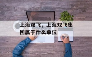 上海双飞，上海双飞集团属于什么单位