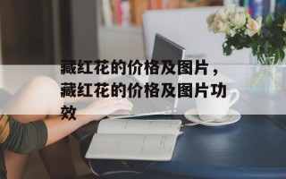 藏红花的价格及图片，藏红花的价格及图片功效