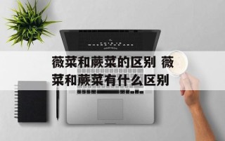 薇菜和蕨菜的区别 薇菜和蕨菜有什么区别