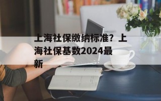 上海社保缴纳标准？上海社保基数2024最新