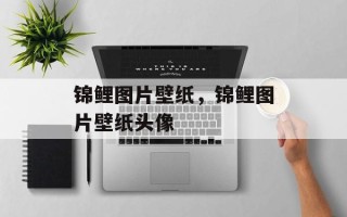 锦鲤图片壁纸，锦鲤图片壁纸头像