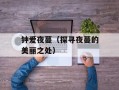 钟爱夜蔓（探寻夜蔓的美丽之处）