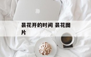 昙花开的时间 昙花图片