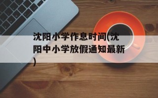 沈阳小学作息时间(沈阳中小学放假通知最新)