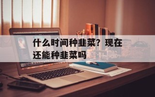 什么时间种韭菜？现在还能种韭菜吗