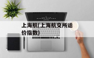 上海航(上海航交所运价指数)