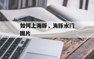 如何上海豚，海豚水门图片