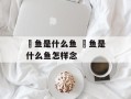 鳀鱼是什么鱼 鳀鱼是什么鱼怎样念