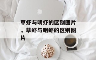 草虾与明虾的区别图片，草虾与明虾的区别图片